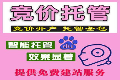 某行业巨头背后的SEM代运营服务公司